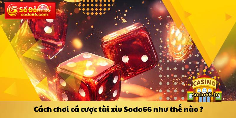 Cách chơi cá cược tài xỉu Sodo66 như thế nào