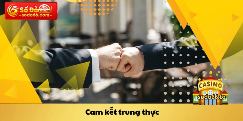 Cam kết trung thực