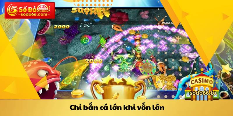 Chỉ bắn cá lớn khi vốn lớn