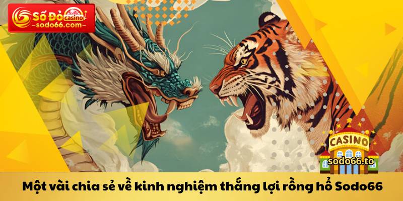 Một vài chia sẻ về kinh nghiệm thắng lợi rồng hổ Sodo66
