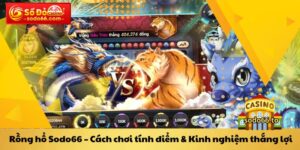 Rồng hổ Sodo66 Cách chơi tính điểm & Kinh nghiệm thắng lợi