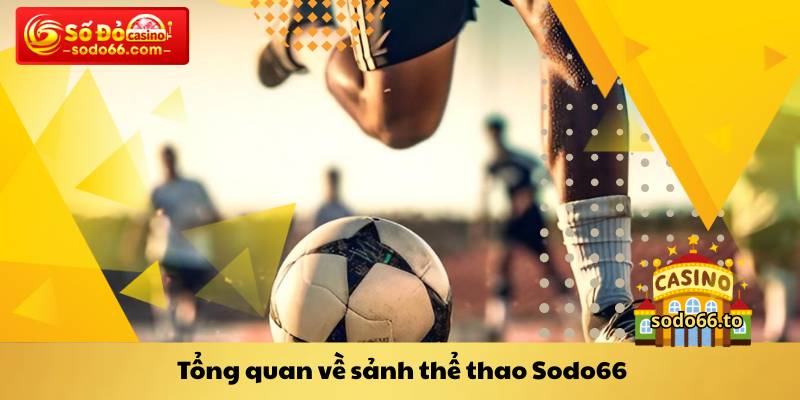 Tổng quan về sảnh thể thao Sodo66